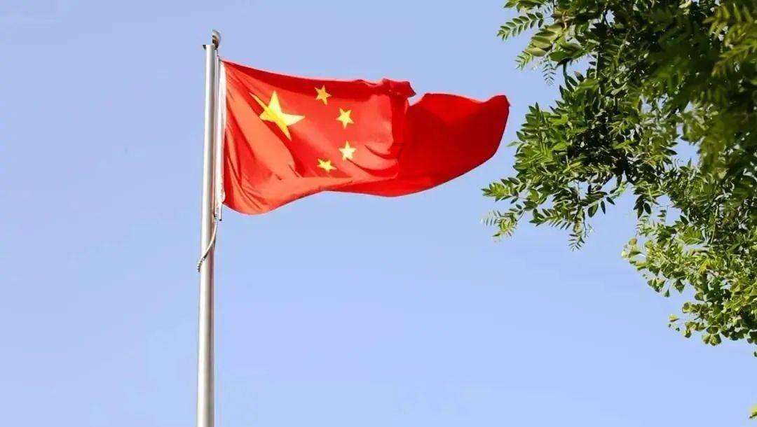 动物帮帮忙保卫家园